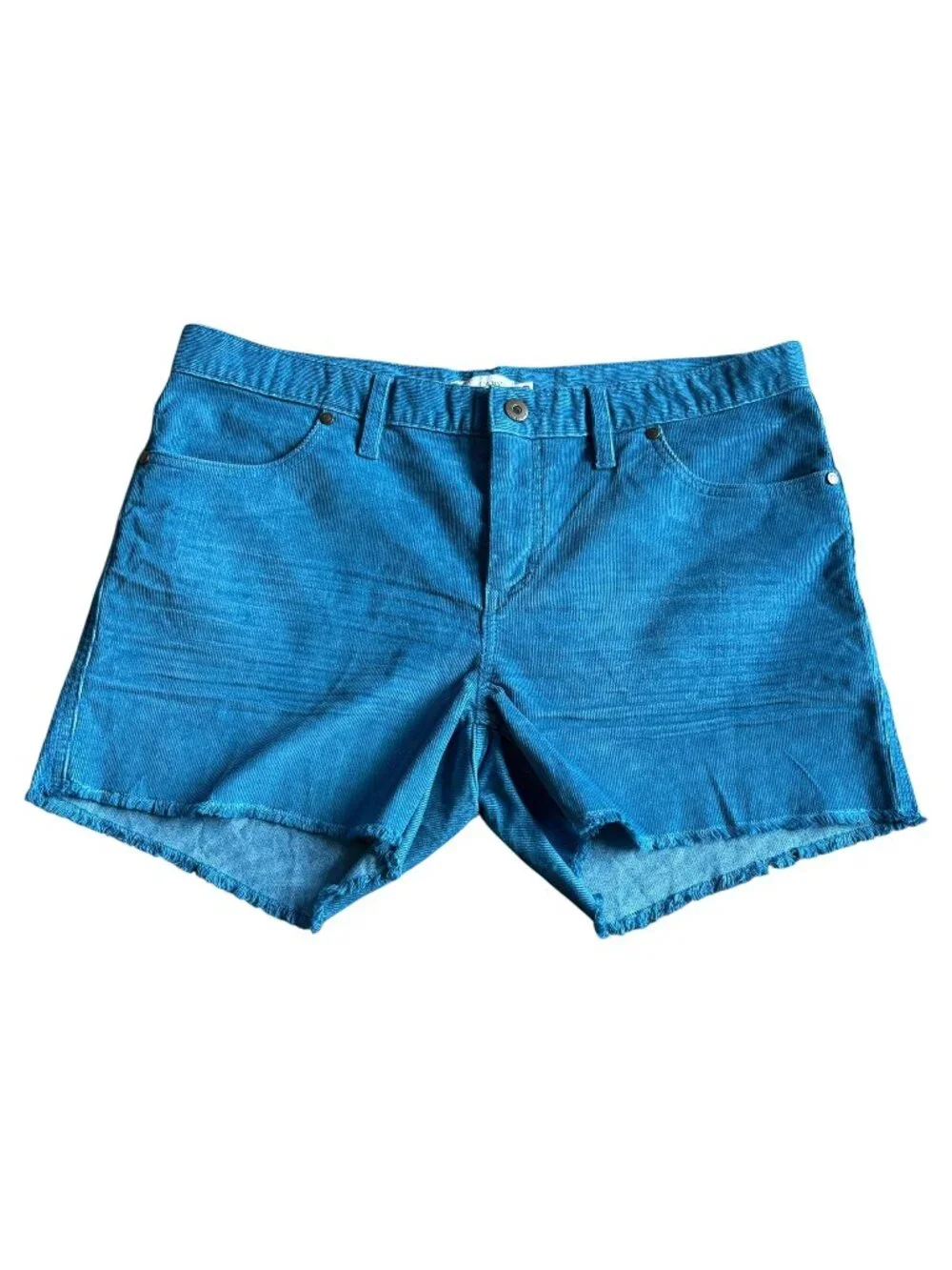 Carve Designs Oahu Shorts Corduroy Casual Blue 4